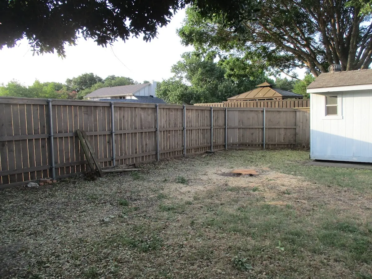 Cleared yard after professional tree removal in Whitmire